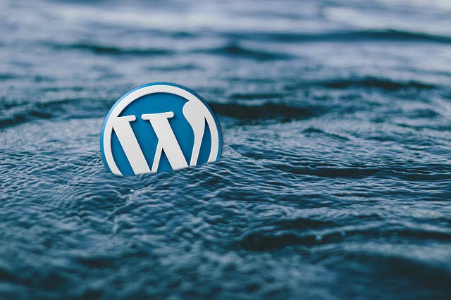 Attractive Methods to Decorate your WordPress 1 wordpress 1425731373